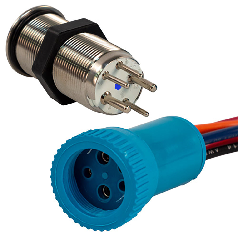 Bluewater 19mm Push Button Switch OffOnOn Contact BlueGreenRed LED 1 Lead 905731131