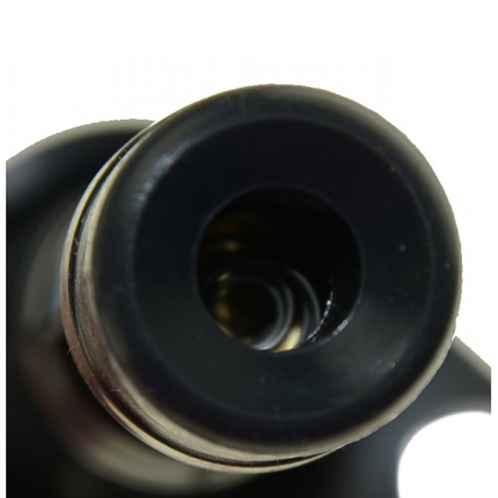 Regitar USA Ignition Coil fHonda Outboards Engines 20042007 135HP 150 HP RMF013
