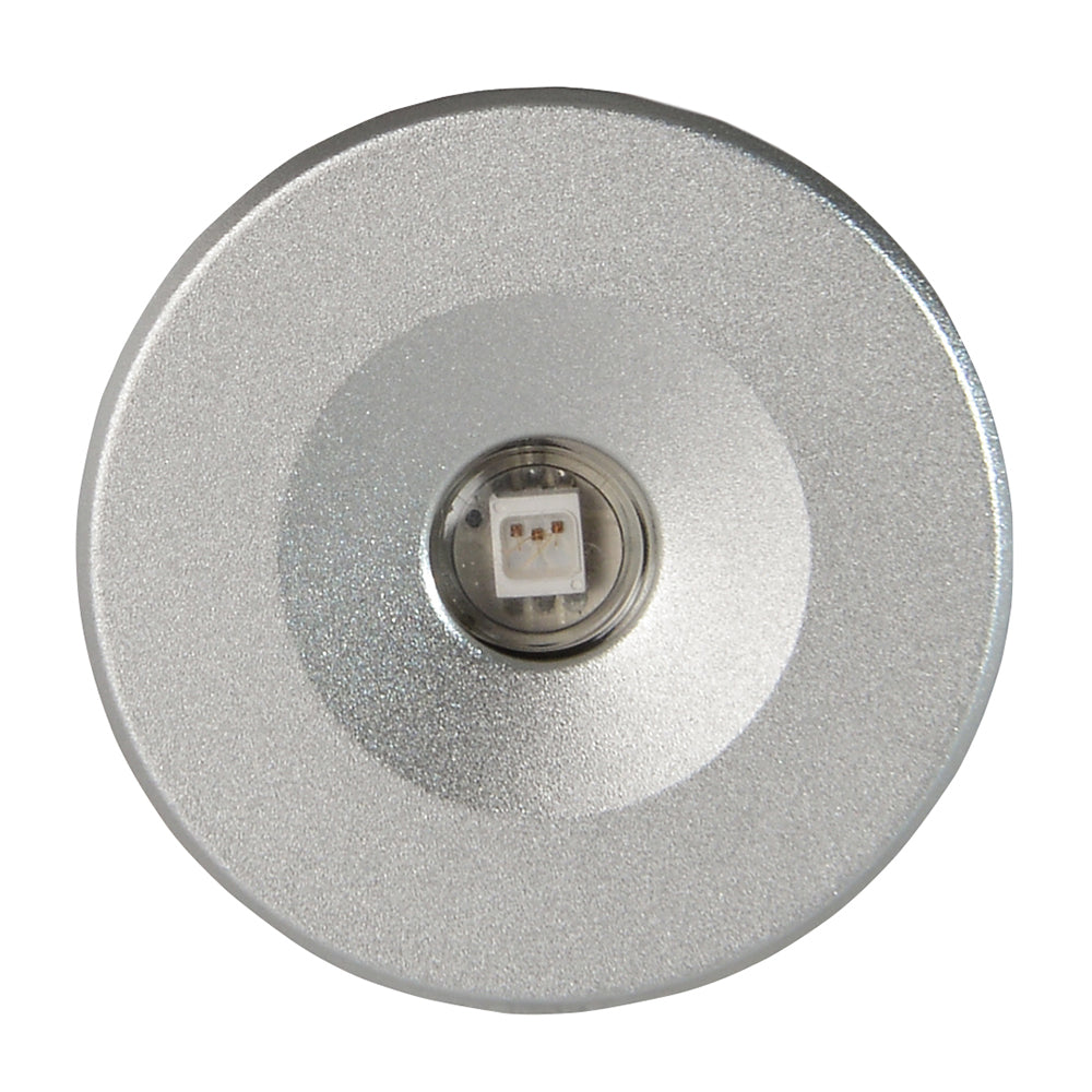 Lumitec Echo Courtesy Light Brushed Housing White Light 112203
