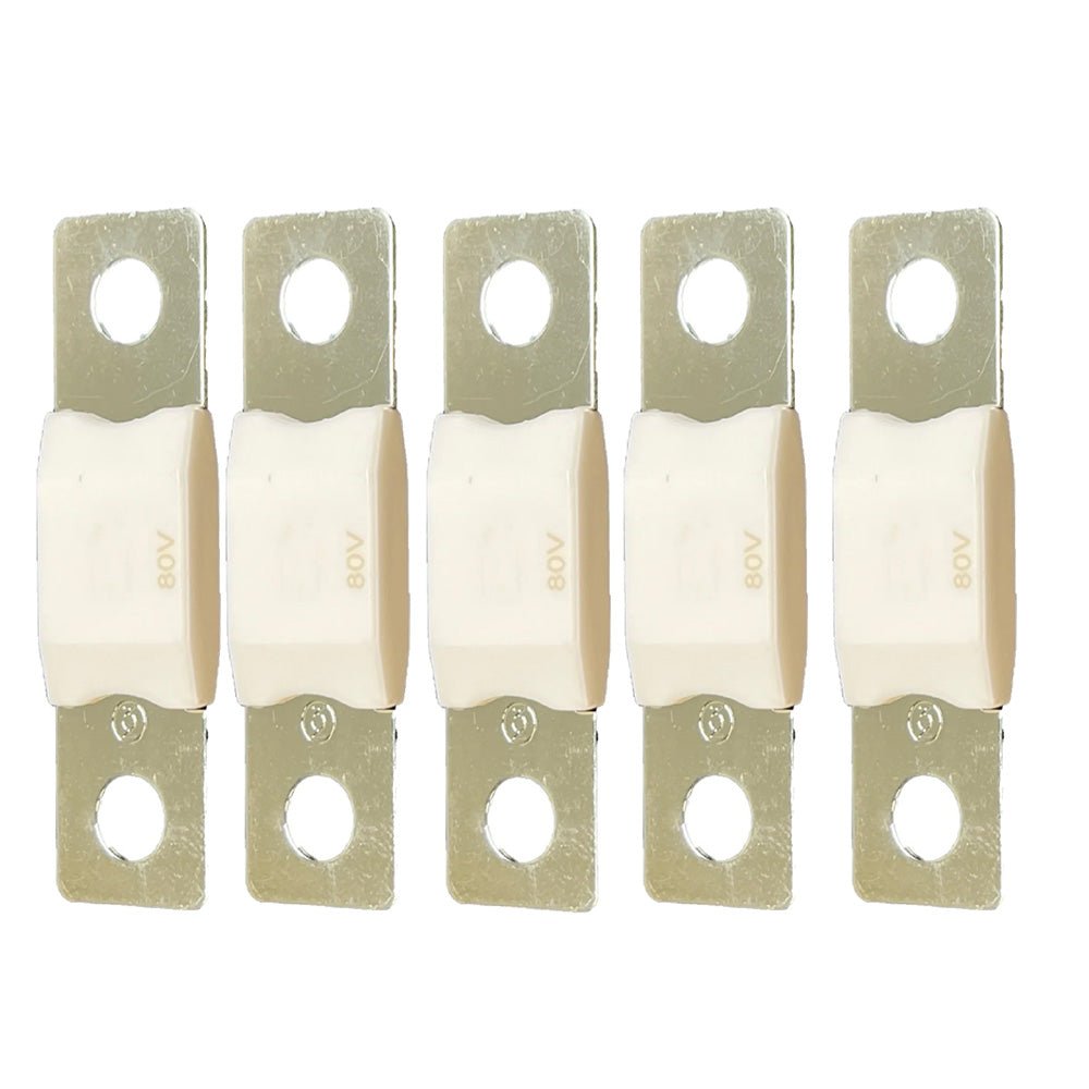 Victron MEGA Fuse 100A80V Package of 5 Pieces CIP138100020
