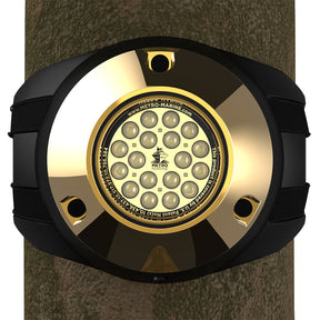 Metro Marine HighOutput Piling Mount Underwater Light wIntelligent Monochromatic LEDs  White 45 Beam FPMR1W345