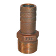 GROCO 12 NPT x 12 ID Bronze Pipe to Hose Straight Fitting PTH500