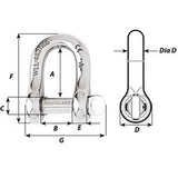 Wichard Captive Pin D Shackle  Diameter 5mm  316 1402W