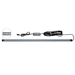 Hydro Glow 4 LED DockMaster 2000K Amber LED 120V DM260A