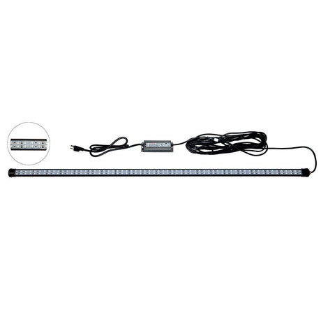 Hydro Glow 4 LED DockMaster 2000K Amber LED 120V DM260A