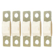 Victron MEGA Fuse 100A80V Package of 5 Pieces CIP138100020